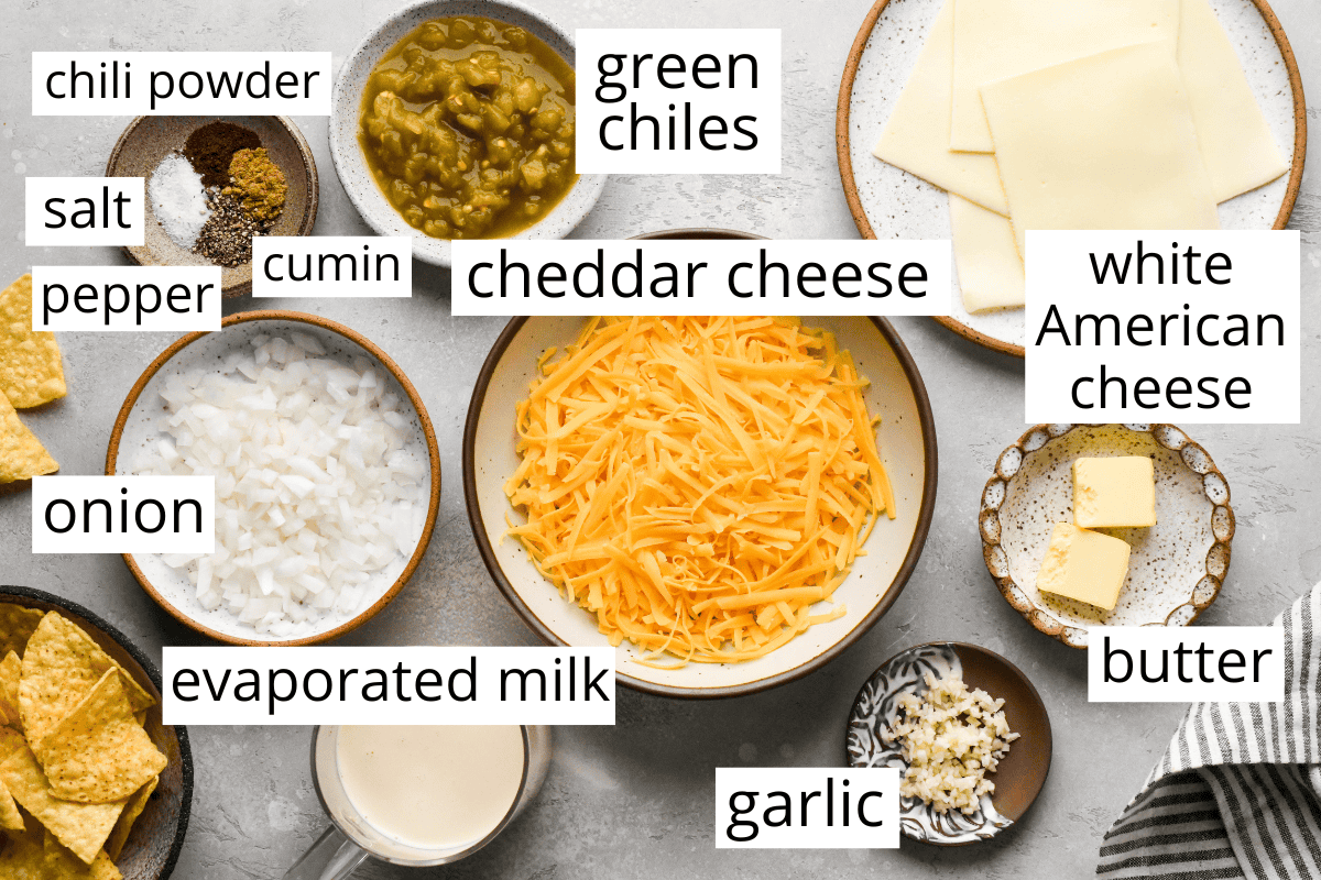 Overhead view of labeled ingredients for homemade queso, including shredded cheddar cheese, white American cheese slices, evaporated milk, butter, diced onion, minced garlic, green chiles, chili powder, cumin, salt, and pepper.