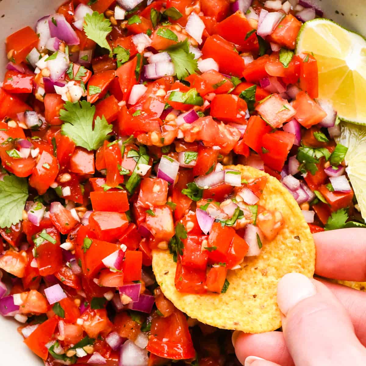 Bowl of homemade pico de gallo made with diced tomatoes, red onion, cilantro, and lime, being scooped up with a tortilla chip.