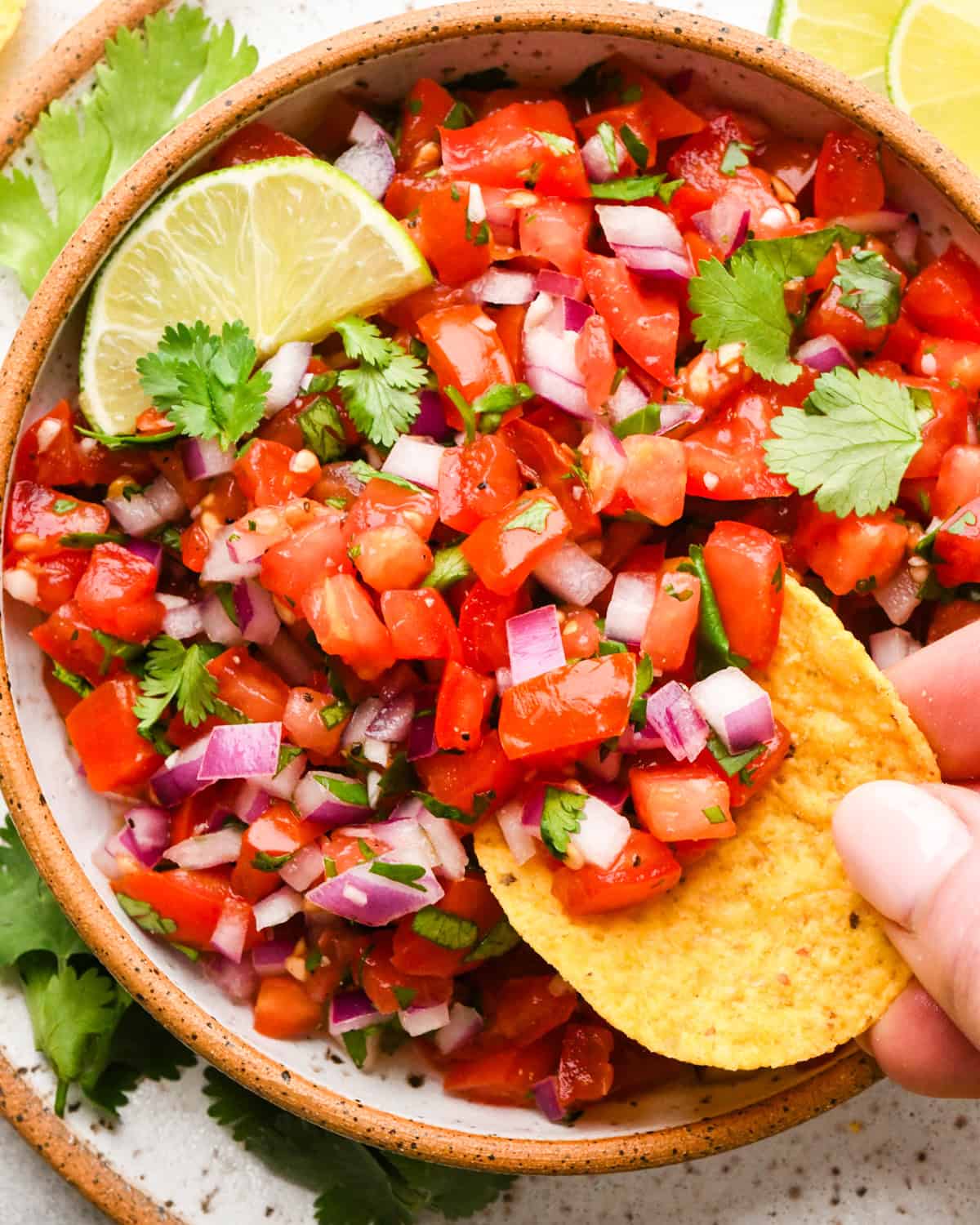 Bowl of homemade pico de gallo made with diced tomatoes, red onion, cilantro, and lime, being scooped up with a tortilla chip.