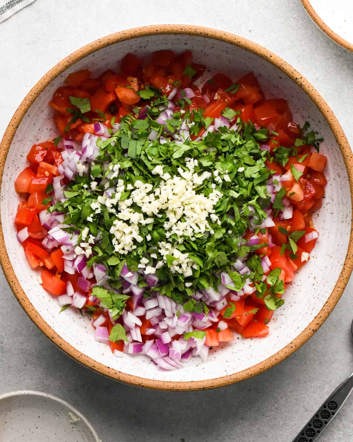 Making pico de Gallo: overhead photo of a white speckled bowl filled with diced tomatoes, cilantro, minced garlic, and red onion.
