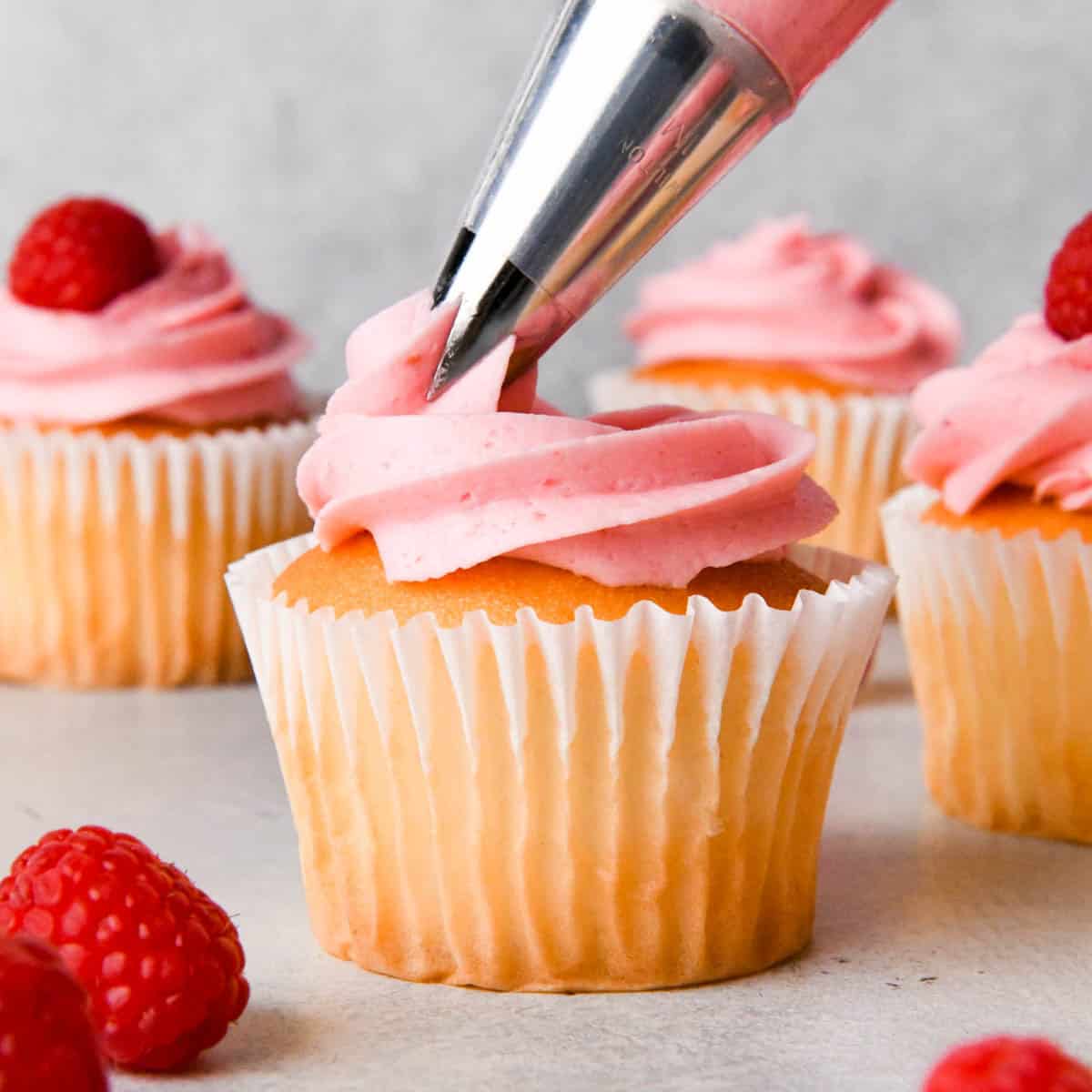 raspberry frosting being piped onto a vanilla cupcake, with 3 other frosted cupcakes and some raspberries in the background
