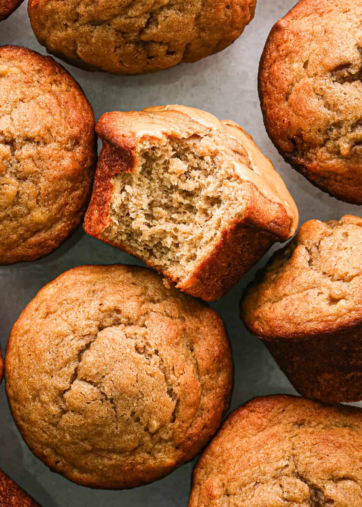 7 peanut butter banana muffins, one laying on it's side with a bite taken out so the moist texture is showing, it also has peanut butter drizzled on top