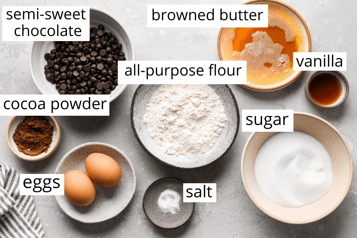 overhead photo of the ingredients in this brown butter brownies recipe in bowls and labeled like brown butter, flour, chocolate, cocoa powder, sugar, eggs and salt