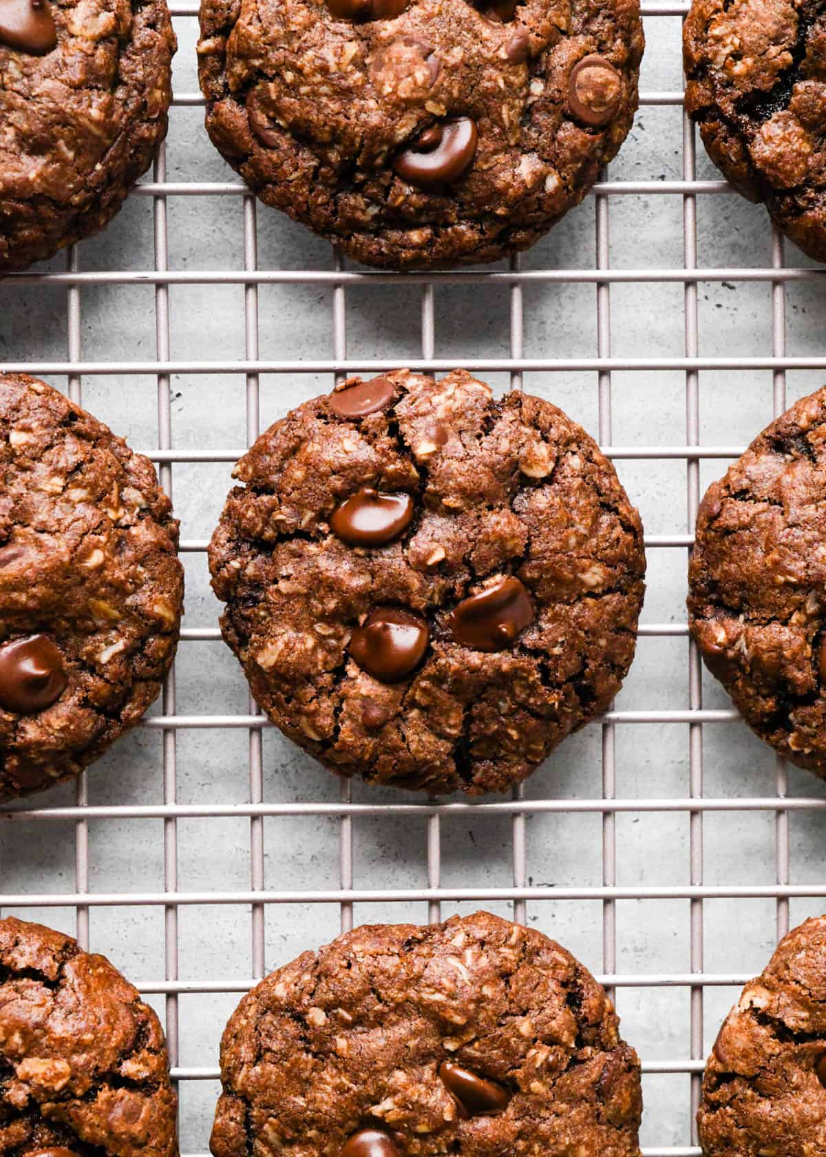 9 baked chocolate chocolate chip oatmeal cookies on a wire cooling rack
