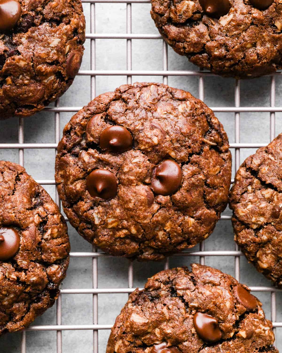 up close photo of 6 9baked chocolate chocolate chip oatmeal cookies on a wire cooling rack