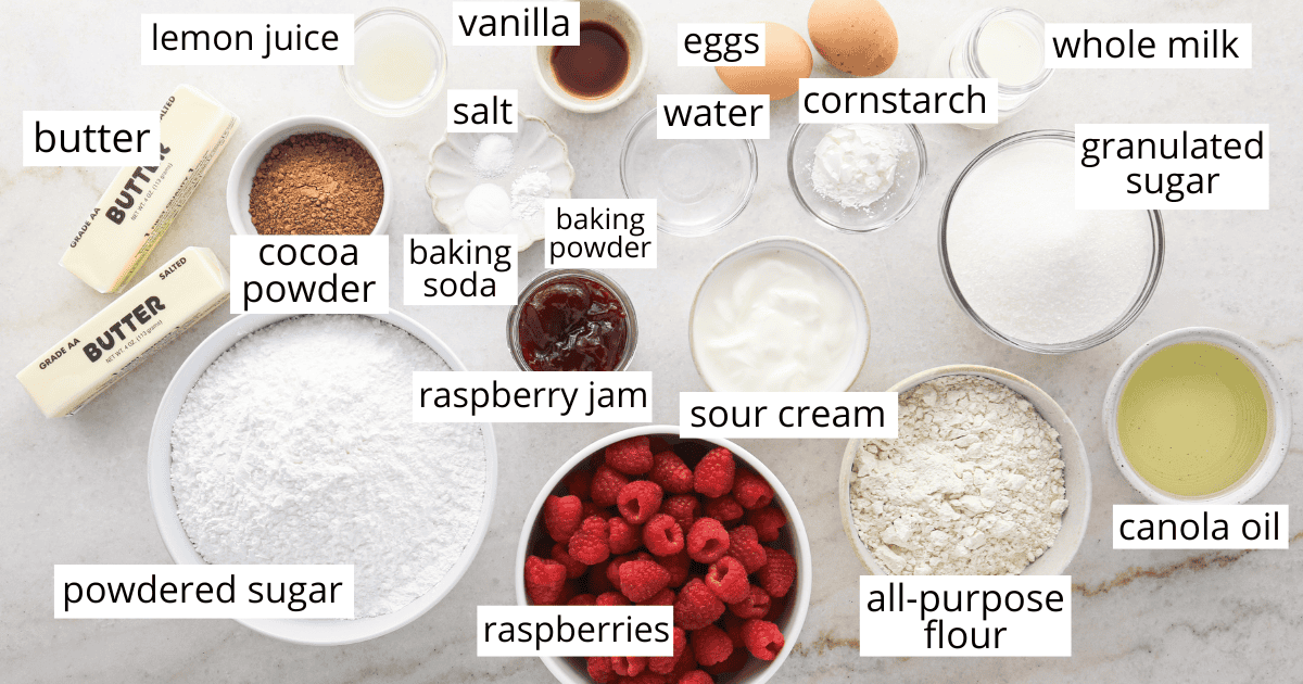 overhead photo of the ingredients in this chocolate raspberry cake recipe in bowls and labeled like raspberries, flour, sugar, eggs, powdered sugar, butter, and more.