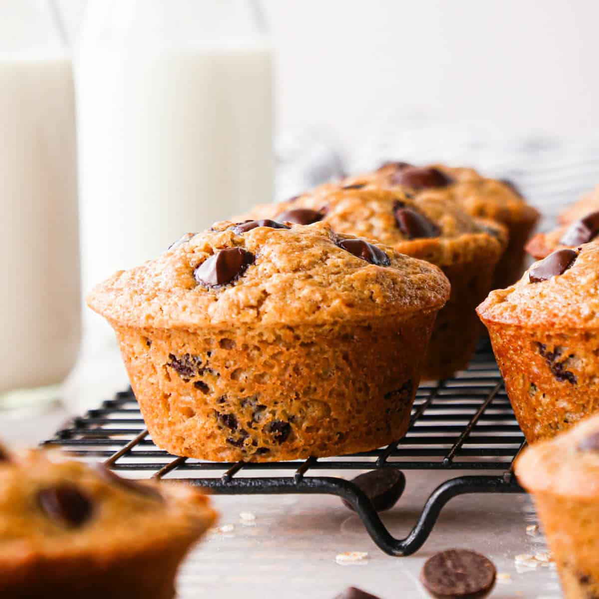 front view of 7 oatmeal and chocolate chip muffins on a black metal cooling rack with bottles of milk in the background and chocolate chips in the foreground