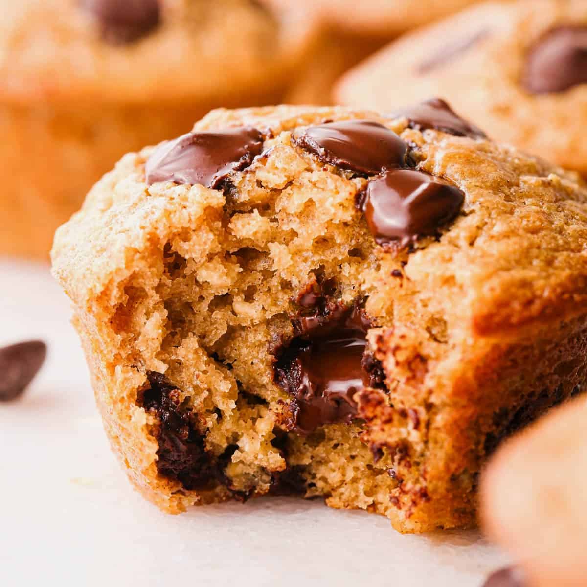 close up photo of an oatmeal chocolate chip muffin with a bite taken out of it so the fluffy texture and melty chocolate chips inside are visible. a bottle of milk and more chocolate chips in the background