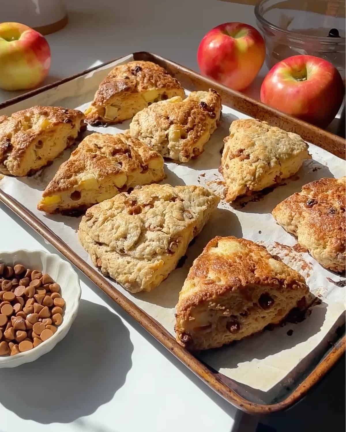 8 cinnamon apple scones on a baking with lined with parchment paper after baking with apples int he background and a bowl of cinnamon chip sin the left bottom corner