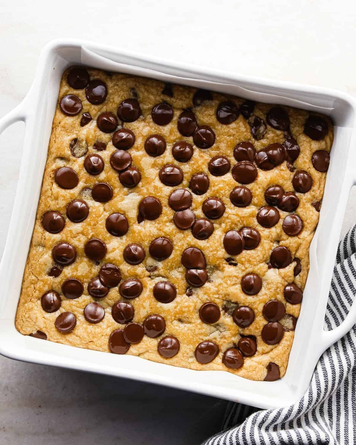 brown butter cookie bars in a white square ceramic baking dish after baking with lots of melty chocolate chips on top