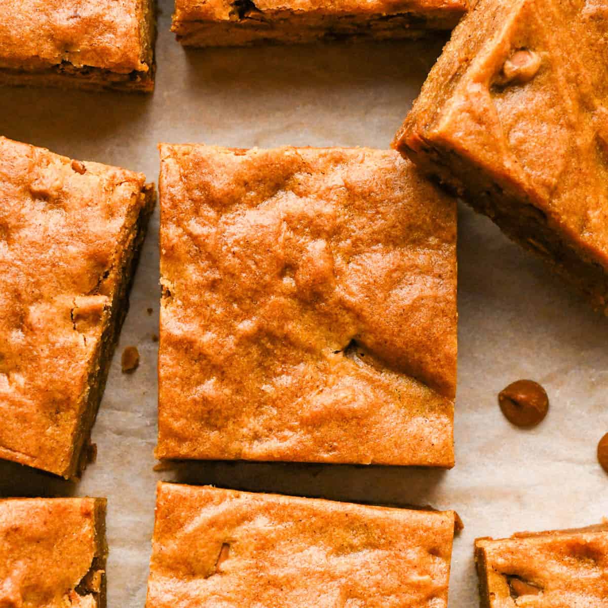 overhead view of 7 pumpkin blondies on parchment paper surrounded by cinnamon chips