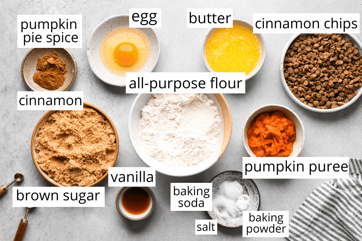 overhead photo of the ingredients in this pumpkin blondies recipe all in bowls and labeled like flour, pumpkin puree, butter, egg, brown sugar and more