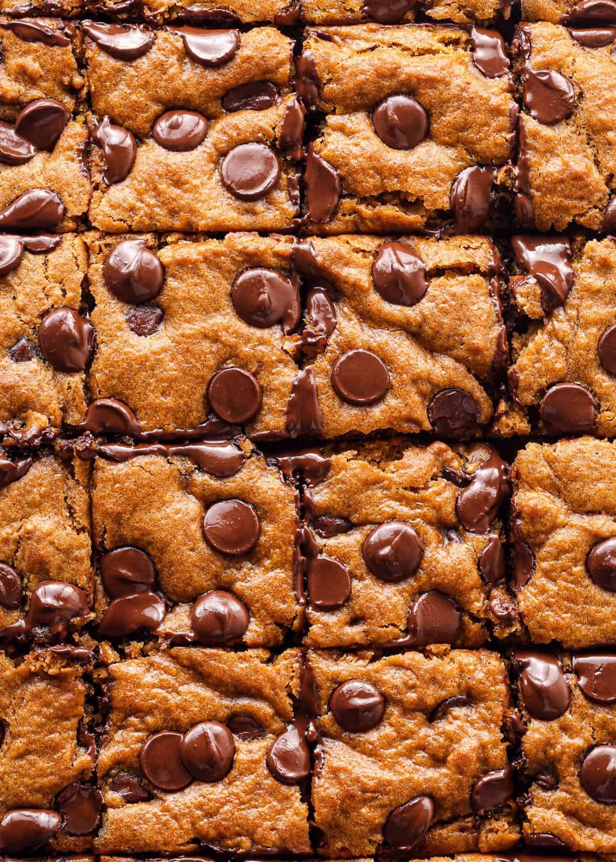 Making pumpkin chocolate chip bars: close-up photo of fresh-out-of-the-oven pumpkin chocolate chip bars, cut into squares and ready to serve. The photo shows slightly melty chocolate chips and a rich-looking pumpkin bar, perfect for a cozy fall dessert.