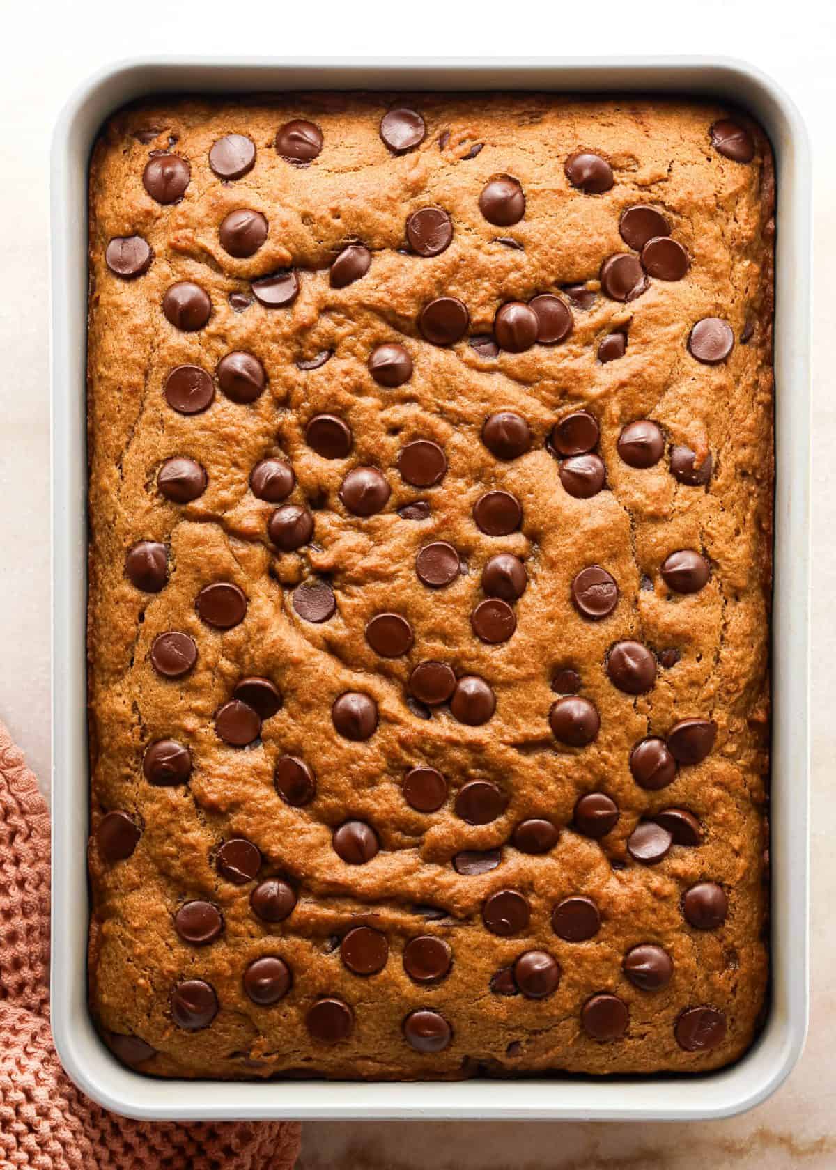 Making pumpkin chocolate chip bars: overhead photo of straight-out-of-the-oven pumpkin chocolate chip bars, sitting on a light countertop in a silver baking dish.