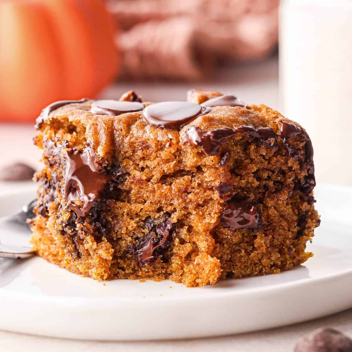Close-up of a gooey pumpkin chocolate chip bar with a moist, spiced pumpkin crumb and abundant melted chocolate chips. The bar is sitting on a white plate and has a bite taken out of it.
