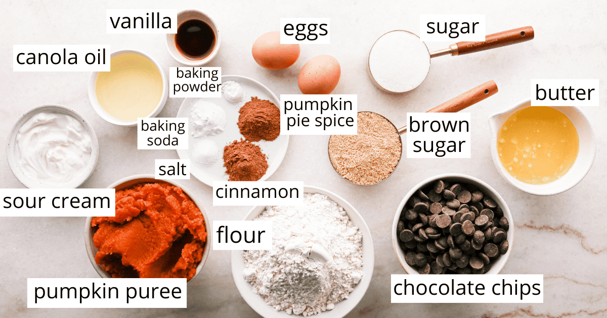 Ingredients for homemade pumpkin chocolate chip bars arranged on a light countertop, including pumpkin puree, chocolate chips, flour, brown sugar, white sugar, butter, canola oil, eggs, sour cream, vanilla, pumpkin pie spice, cinnamon, baking powder, baking soda, and salt.