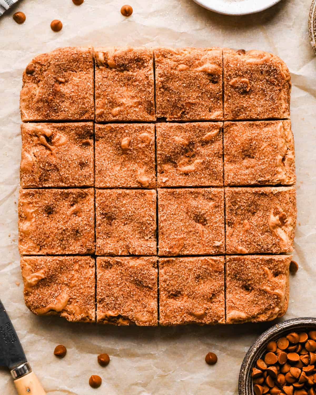 snickerdoodle blondies on parchment paper cut into 16 squares surrounded by cinnamon chips