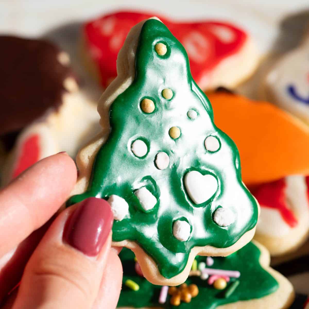 a sugar cookie Christmas tree with green sugar cookie icing on and white and gold sprinkles that look like ornaments. A hand is holding the cookie in the sunlight so you can see that it's shiny and there are more decorated sugar cookies in the background